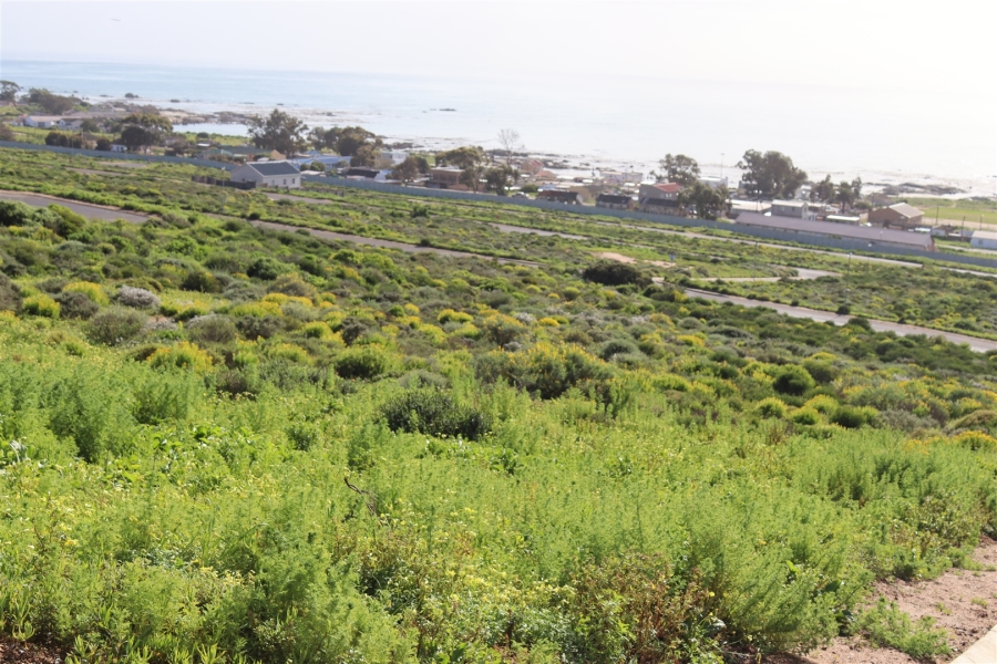 0 Bedroom Property for Sale in St Helena Views Western Cape